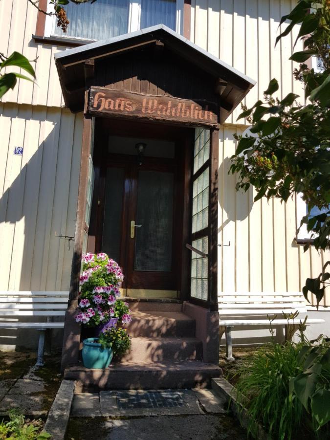 Haus Waldblick Hotel Hohegeiß Екстериор снимка