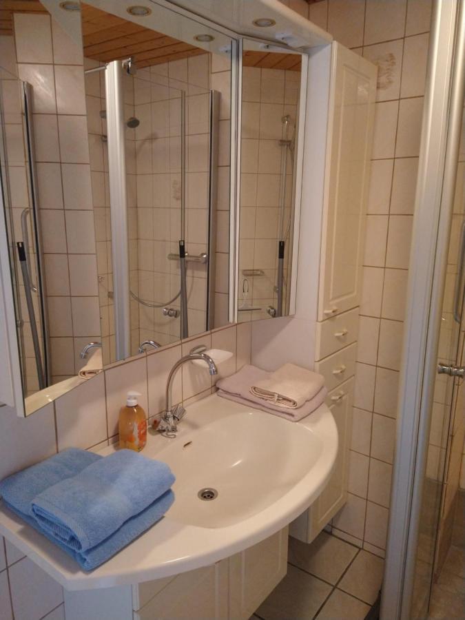Haus Waldblick Hotel Hohegeiß Екстериор снимка